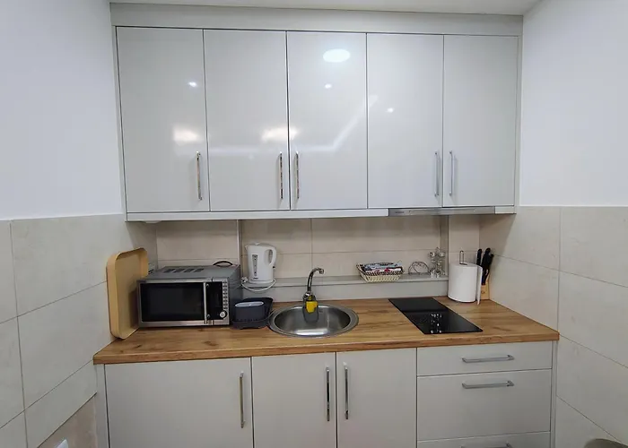 아파트 Vanesa Banja Koviljača